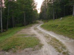 2013-07-20_Regina-F-Rau_Kochel-Rabenkopf (522).JPG
